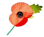 Poppy